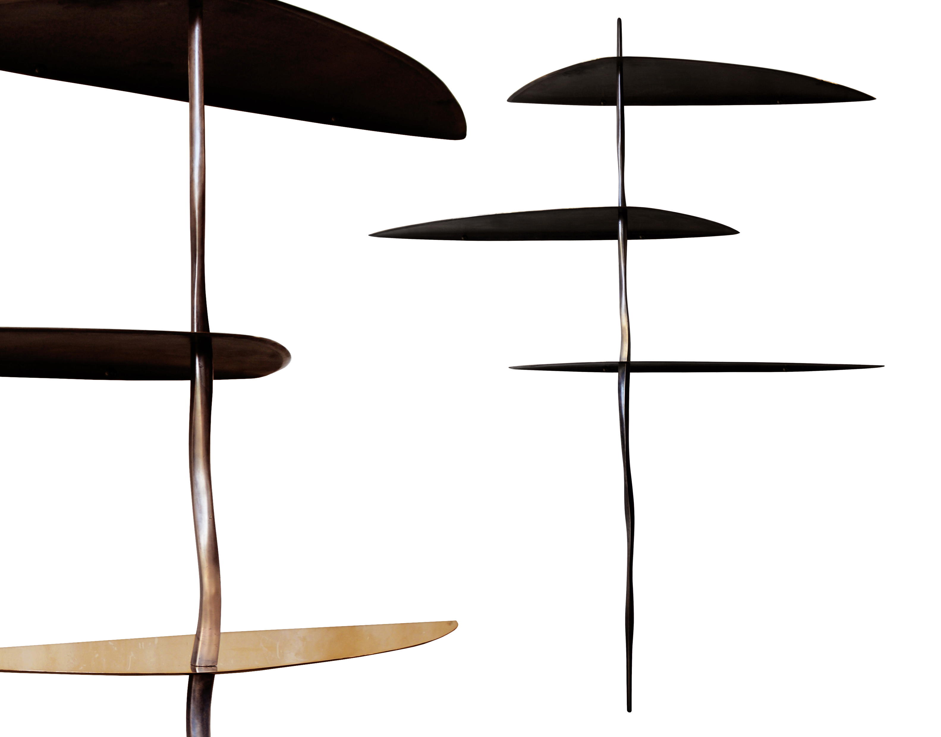 Animula is a bronze sand casted bookshelves handmade in Italy